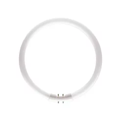 Lampadina 55 Con 830 FC Tubo Circolare T5 2GX13 - Osram - Acquista Qui