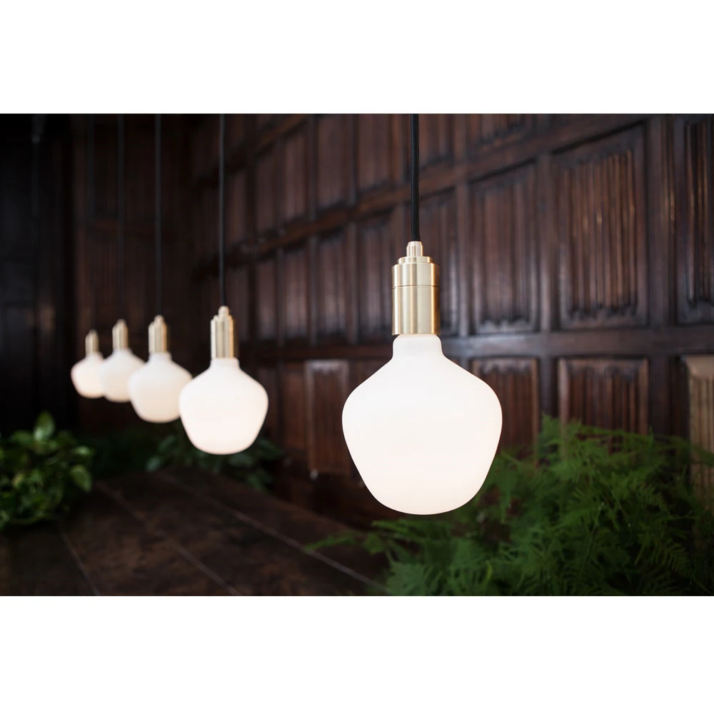 Tala Lampade Lampadina LED 6W Enno E27 - Tala - Acquista Qui 4 Tala Lampade Lampadina LED 6W Enno E27 - Tala - Acquista Qui - immagine 4