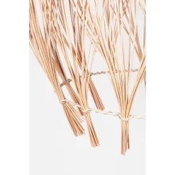 Globen Lighting Lampade Montego 50 Paralume Natura - Globen Lighting - Acquista Qui -Vendite lampada a muro 7319431545206 3