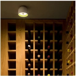 Wan Plafoniera/Applique Da Parete Bianco - Flos - Acquista Qui -Vendite lampada a muro 798 6 1