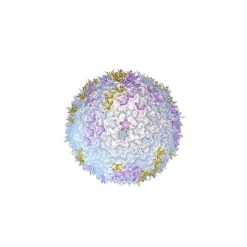 Kartell Lampade Bloom C1 Applique Da Parete/Plafoniera Lavanda - Kartell - Acquista Qui