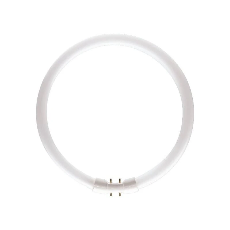 Lampadina 22 Con 830 TL5 Tubo Circolare 2GX13 - Philips - Acquista Qui 1 Lampadina 22 Con 830 TL5 Tubo Circolare 2GX13 - Philips - Acquista Qui