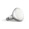 Lampadina LED 13W (1300lm) 2700K Dimmerabile E27 - Flos - Acquista Qui